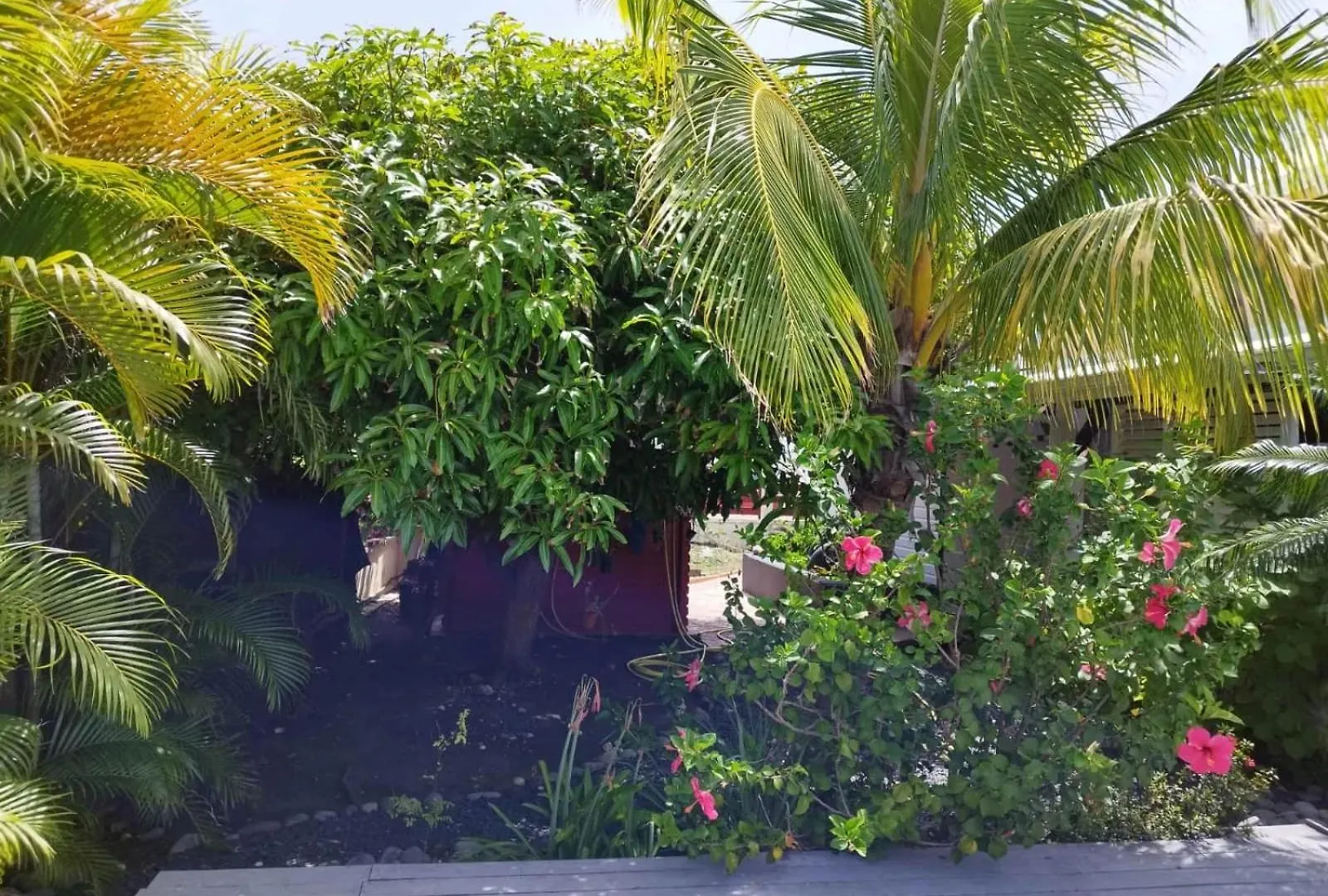 Villa Mangokera Saint-Francois  Guadeloupe