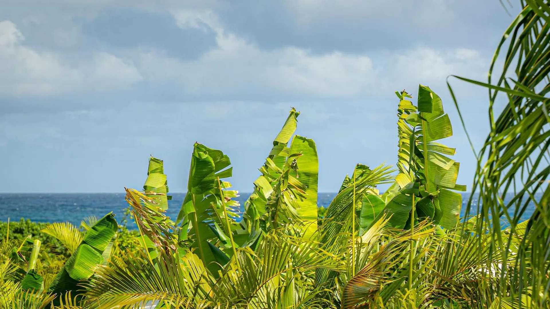 Villa Mangokera Saint-Francois   Saint-Francois (Grande-Terre)
